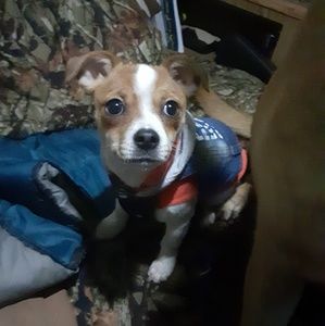 Meet your Posher, Regina